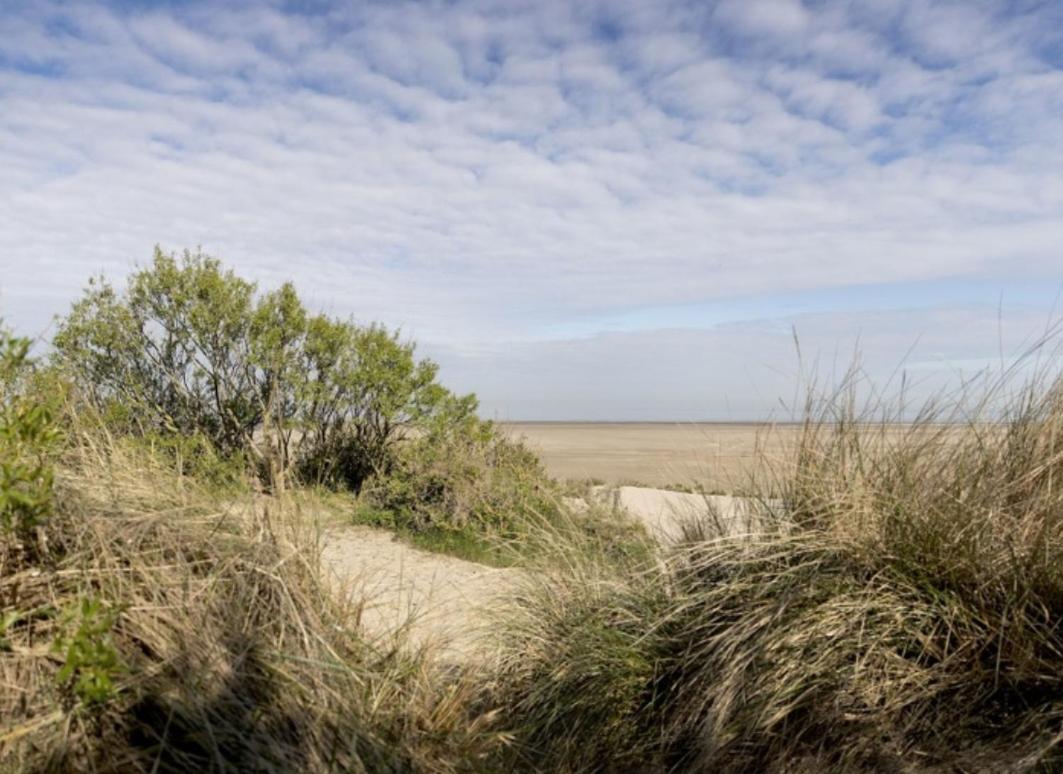 Strandchalet Bredene Exterior photo